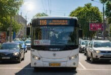 116 автобус Кропивницький спереду у трафіку літо сонячний день маршрут Молодіжне Никанорівка